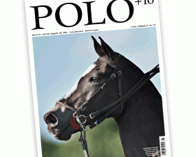 POLO+10